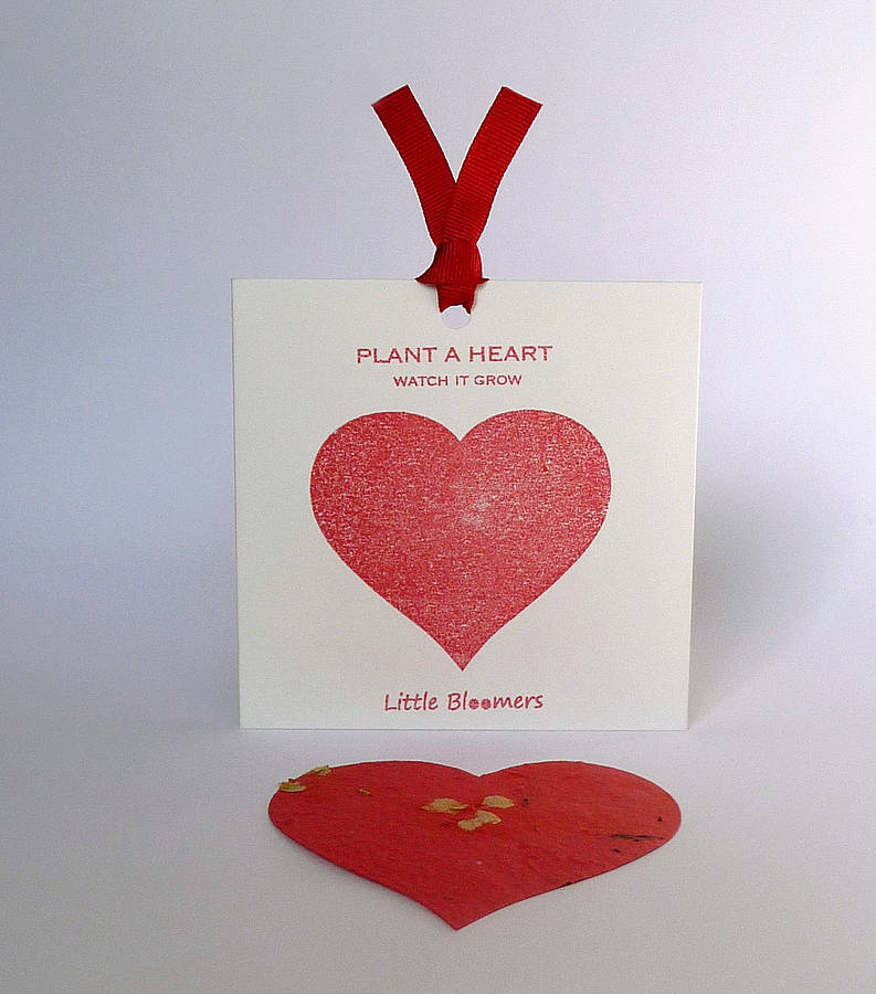 little bloomers plantable favours by plant a bloomer